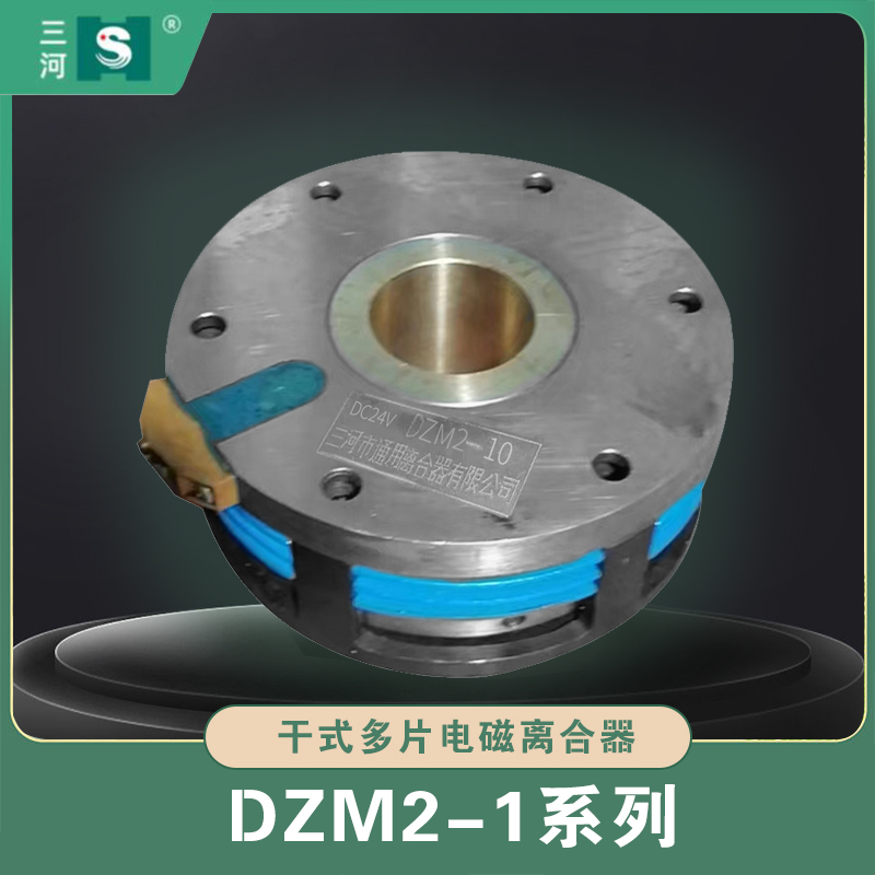 DZM2-1系列